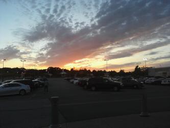 <img0*250:stuff/z/178728/Raven%2527s%2520sunsets/Copy%20of%20Image09142010193420.jpg>