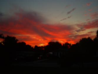 <img0*250:stuff/z/178728/Raven%2527s%2520sunsets/Copy%20of%20S5031792.JPG>