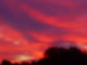 <img0*250:stuff/z/178728/Raven%2527s%2520sunsets/Copy%20of%20S5031793.JPG>
