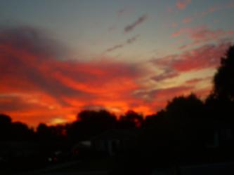 <img0*250:stuff/z/178728/Raven%2527s%2520sunsets/Copy%20of%20S5031794.JPG>