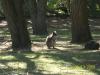 <img100*0:stuff/z/179797/%255e_-/100_0154.jpg>