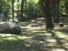 <img100*0:stuff/z/179797/%255e_-/100_0155.jpg>