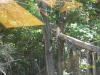 <img100*0:stuff/z/179797/%255e_-/100_0156.jpg>