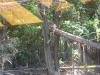 <img100*0:stuff/z/179797/%255e_-/100_0157.jpg>