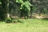 <img100*0:stuff/z/179797/%255e_-/100_0158.jpg>