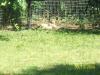 <img100*0:stuff/z/179797/%255e_-/100_0159.jpg>