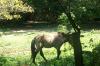 <img100*0:stuff/z/179797/%255e_-/100_0161.jpg>