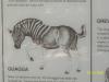 <img100*0:stuff/z/179797/%255e_-/100_0166.jpg>