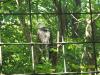 <img100*0:stuff/z/179797/%255e_-/100_0170.jpg>