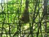 <img100*0:stuff/z/179797/%255e_-/100_0171.jpg>