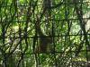 <img100*0:stuff/z/179797/%255e_-/100_0172.jpg>