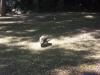 <img100*0:stuff/z/179797/%255e_-/100_0174.jpg>