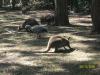 <img100*0:stuff/z/179797/%255e_-/100_0175.jpg>