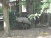 <img100*0:stuff/z/179797/%255e_-/100_0176.jpg>