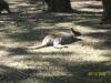<img100*0:stuff/z/179797/%255e_-/100_0178.jpg>