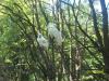 <img100*0:stuff/z/179797/%255e_-/100_0185.jpg>