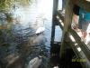 <img100*0:stuff/z/179797/%255e_-/100_0187.jpg>