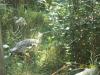<img100*0:stuff/z/179797/%255e_-/100_0188.jpg>