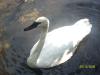 <img100*0:stuff/z/179797/%255e_-/100_0189.jpg>
