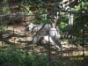 <img100*0:stuff/z/179797/%255e_-/100_0193.jpg>