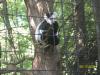 <img100*0:stuff/z/179797/%255e_-/100_0197.jpg>