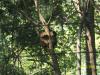 <img100*0:stuff/z/179797/%255e_-/100_0199.jpg>