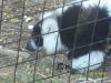 <img100*0:stuff/z/179797/%255e_-/100_0202.jpg>