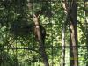 <img100*0:stuff/z/179797/%255e_-/100_0203.jpg>