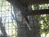 <img100*0:stuff/z/179797/%255e_-/100_0205.jpg>