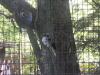 <img100*0:stuff/z/179797/%255e_-/100_0209.jpg>