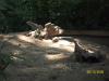 <img100*0:stuff/z/179797/%255e_-/100_0211.jpg>