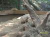 <img100*0:stuff/z/179797/%255e_-/100_0213.jpg>