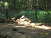 <img100*0:stuff/z/179797/%255e_-/100_0215.jpg>