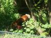 <img100*0:stuff/z/179797/%255e_-/100_0218.jpg>