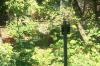<img100*0:stuff/z/179797/%255e_-/100_0219.jpg>