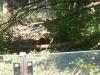 <img100*0:stuff/z/179797/%255e_-/100_0221.jpg>