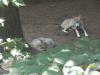 <img100*0:stuff/z/179797/%255e_-/100_0225.jpg>