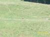 <img100*0:stuff/z/179797/%255e_-/100_0230.jpg>