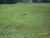 <img100*0:stuff/z/179797/%255e_-/100_0237.jpg>