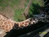 <img100*0:stuff/z/179797/%255e_-/100_0244.jpg>