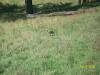 <img100*0:stuff/z/179797/%255e_-/100_0250.jpg>