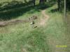 <img100*0:stuff/z/179797/%255e_-/100_0252.jpg>