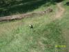 <img100*0:stuff/z/179797/%255e_-/100_0253.jpg>