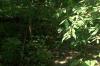 <img100*0:stuff/z/179797/%255e_-/100_0260.jpg>