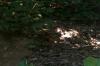 <img100*0:stuff/z/179797/%255e_-/100_0262.jpg>