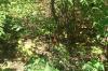 <img100*0:stuff/z/179797/%255e_-/100_0263.jpg>