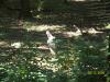 <img100*0:stuff/z/179797/%255e_-/100_0265.jpg>