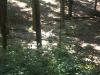 <img100*0:stuff/z/179797/%255e_-/100_0266.jpg>