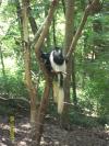 <img100*0:stuff/z/179797/%255e_-/100_0268.jpg>