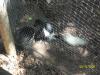 <img100*0:stuff/z/179797/%255e_-/100_0269.jpg>